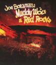 Bonamassa Joe - Muddy Wolf At Red Rocks
