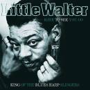 Little Walter W. Baby Face Leroy Muddy Waters J. - Hate...