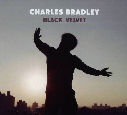 Bradley Charles - Black Velvet