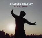Bradley Charles - Black Velvet