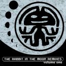 Rabbit In The Moon - Remixes Vol.1