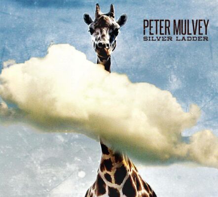 Mulvey Peter - Silver Ladder