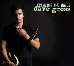 Gross Dave - Crawling The Walls