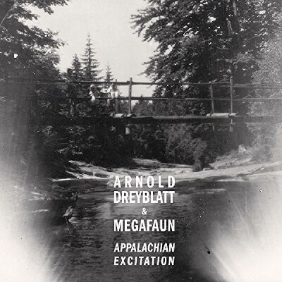 Dreyblatt Arnold & Megafun - Appalachian Excitation