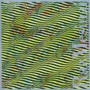 Mesinai Raz - Cyborg Acoutiscs