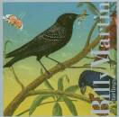 Martin Billy - Starlings