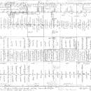 Rosenboom David - Naked Curvature