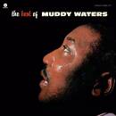 Waters Muddy - BEST OF