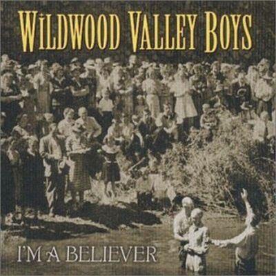 Wildwood Valley Boys - Im A Believer