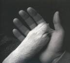 Jaws Of Love. - TASHA SITS CLOSE TO THE PIANO