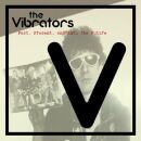 Vibrators - Past,Present And Into The Future