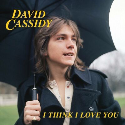 Cassidy David - Love Demands