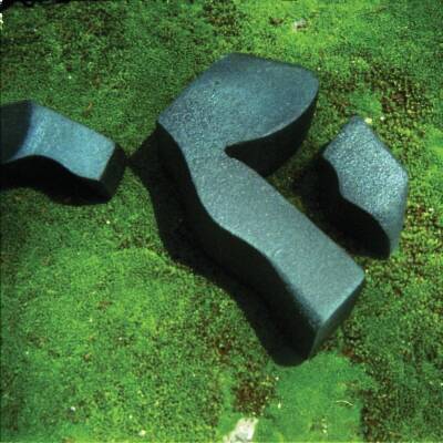 Fuchs Camila - HEART PRESSED BETWEEN STONES