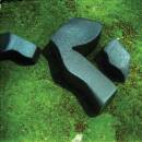 Fuchs Camila - HEART PRESSED BETWEEN STONES