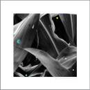 King Arthur - CHANGING LANDSCAPES (WAUTERS FARM)