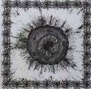 Pyrrhon - GROWTH WITHOUT END