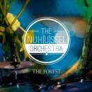 Nuhussel Orchestra - Plejaden Suite