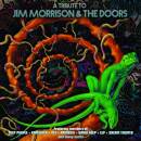 A TRIBUTE TO JIM MORRISON & THE DOORS (Diverse...