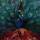 Opeth - Sorceress