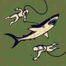 Shepparton Airplane - Sharks
