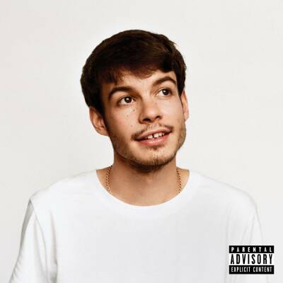 Rex Orange County - Pony / Sleeve With O-Card,1Lp 140G)