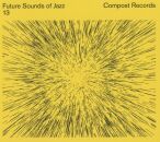 Future Sounds Of Jazz Vol.13 (Diverse Interpreten)