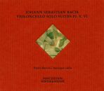Beschi Paolo - Cello Suites 4-6 (Diverse Komponisten)