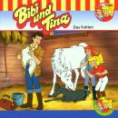 Bibi & Tina - Folge 01: Das Fohlen