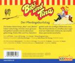 Bibi & Tina - Folge 27:Der Pferdegeburtstag