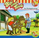 Bibi und Tina - Folge 27:Der Pferdegeburtstag