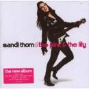 Thom Sandi - Pink & Lily, The