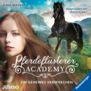 Pferdeflüsterer-Academy (2 / Diverse Interpreten)