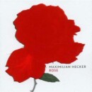 Hecker Maximilian - Rose