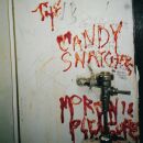 Candy Snatchers, The - Moronic Pleasures