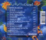 Freudenberg Ute - Träumerland (2000 / Vinyl Maxi Single)