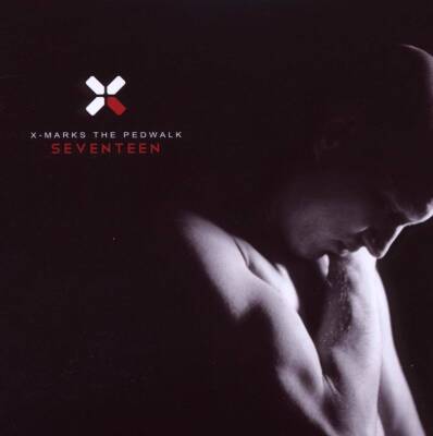 X Marks The Pedwalk - Seventeen
