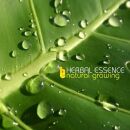 Herbal Essence - Natural Growing