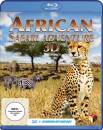 African Safari Adventure