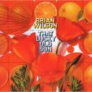 Wilson Brian - THAT LUCKY OLD SUN