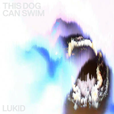 Lukid - This Dog Can Swim