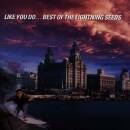 Lightning Seeds - Like You Do - Best Of The Lightning Seeds
