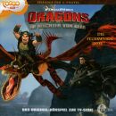 Dragons (13) Die Feuerwurm-Insel (Diverse Interpreten)