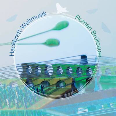 Brülisauer Roman - Hackbrett Weltmusik