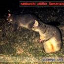 Ambarchi/Müller/Samartzis - Strange Love