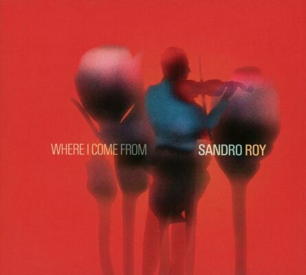 Roy Sandro - Where I Come From