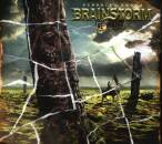 Brainstorm - Memorial Roots