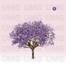 Eels - TOMORROW MORNING (Limited Edition)