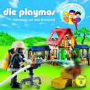 Playmos Die - (6) Abenteuer Eichenhof