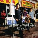 Wallflowers - Breach