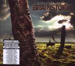 Brainstorm - Memorial Roots